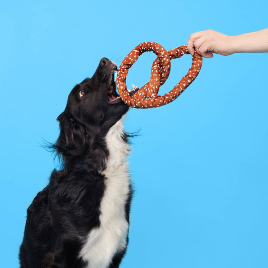 Paula's Park Slope Pretzel