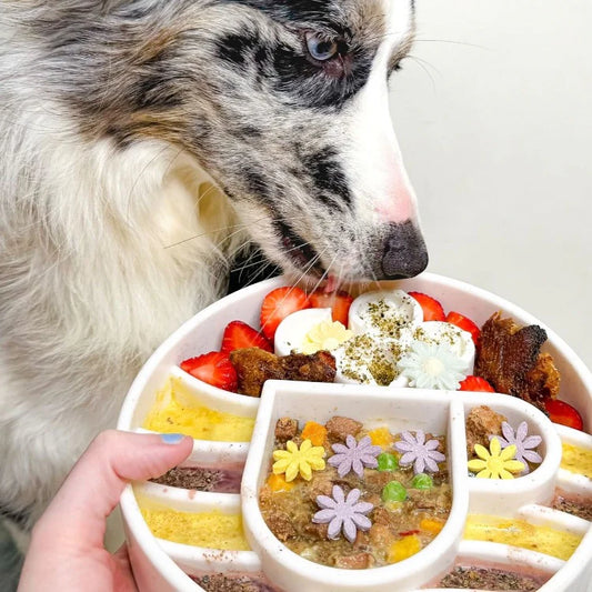 White Coffee Cup Slow Feeder Dog Bowl