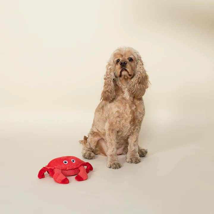Just a Little Crabby Plush Dog Toy