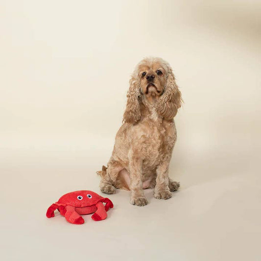 Just a Little Crabby Plush Dog Toy