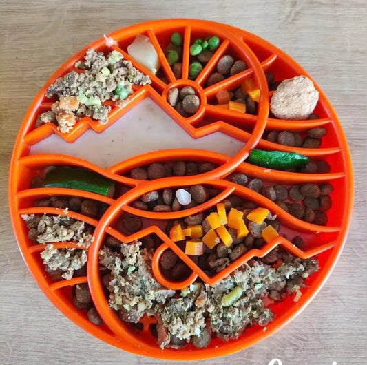 Orange Sunrise Slow Feeder Dog Bowl