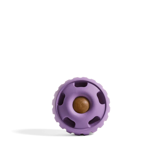 The Pupsicle Toy