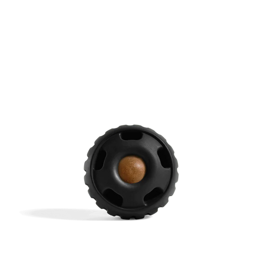 The Pupsicle Toy