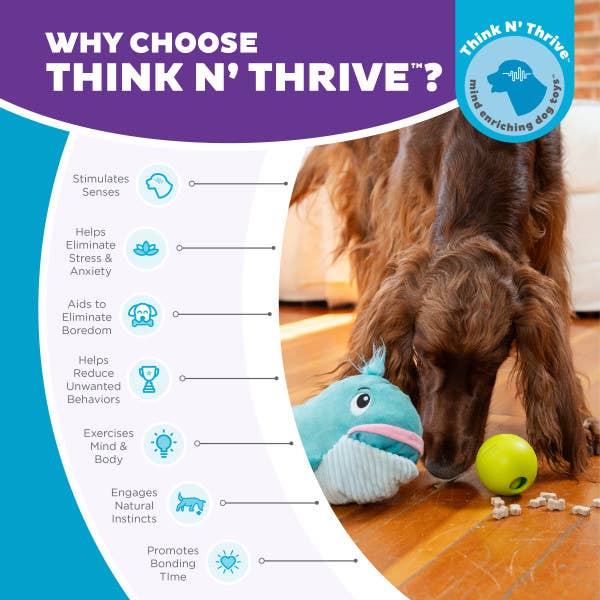 Big Mouthz Whale Interactive Dog Puzzle Toy