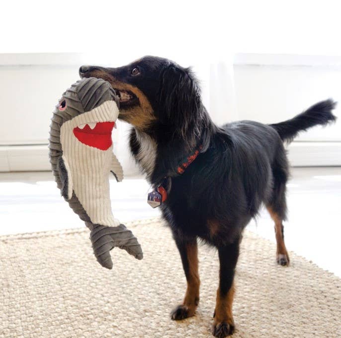Medium Rufflez Shark
