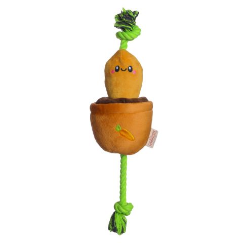 Tug and Treat Carrot
