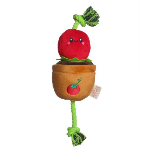 Tug and Treat Tomato