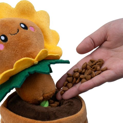 Tug and Treat Yellow Sunflower