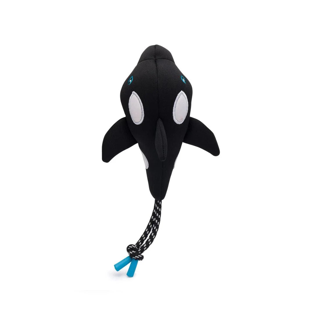 Orca Floating Toy