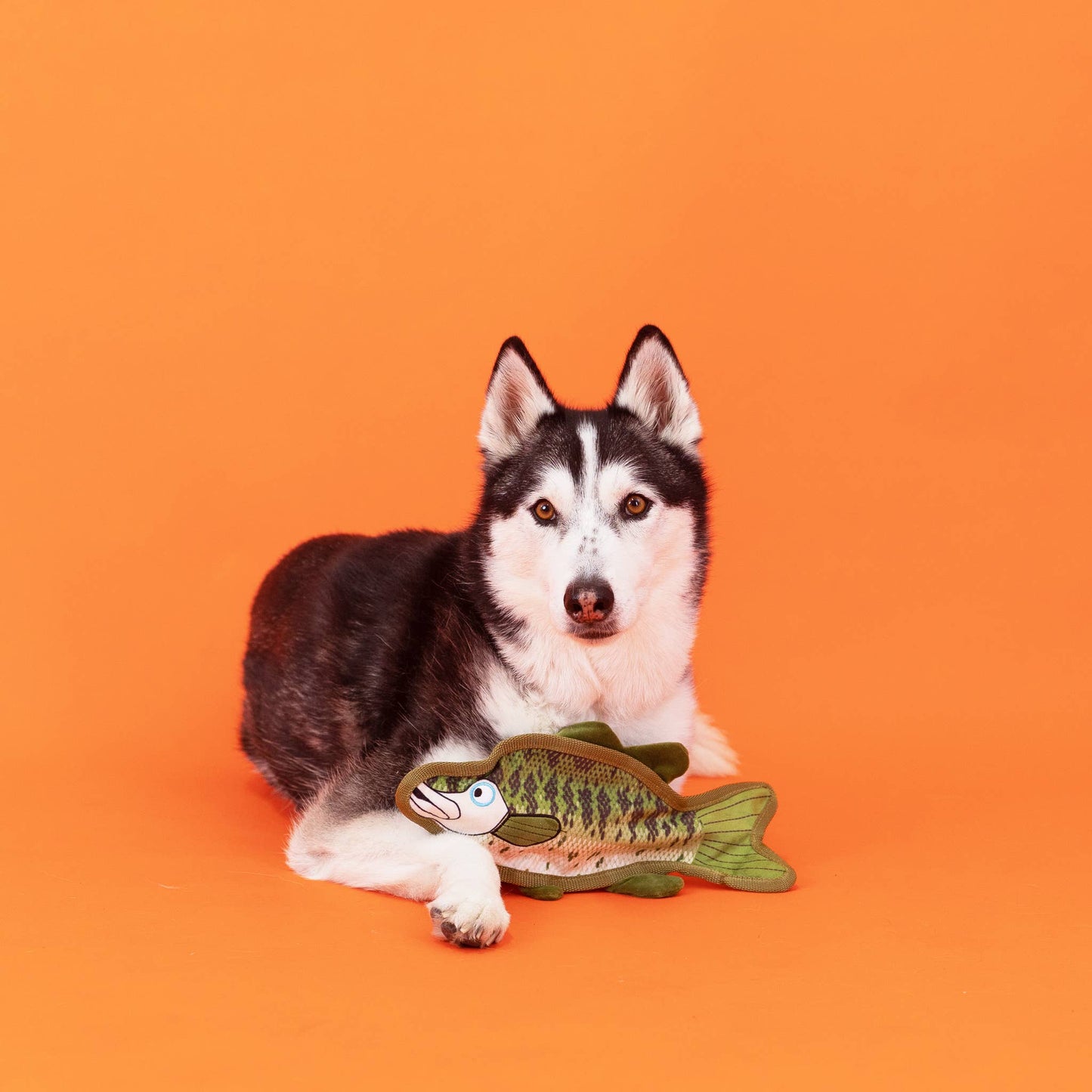 Dumb Bass Durable Plush Dog Toy