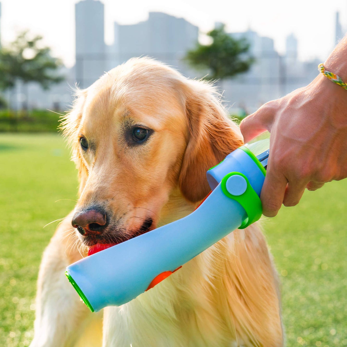 Lil Gulp Dog Water Bottle