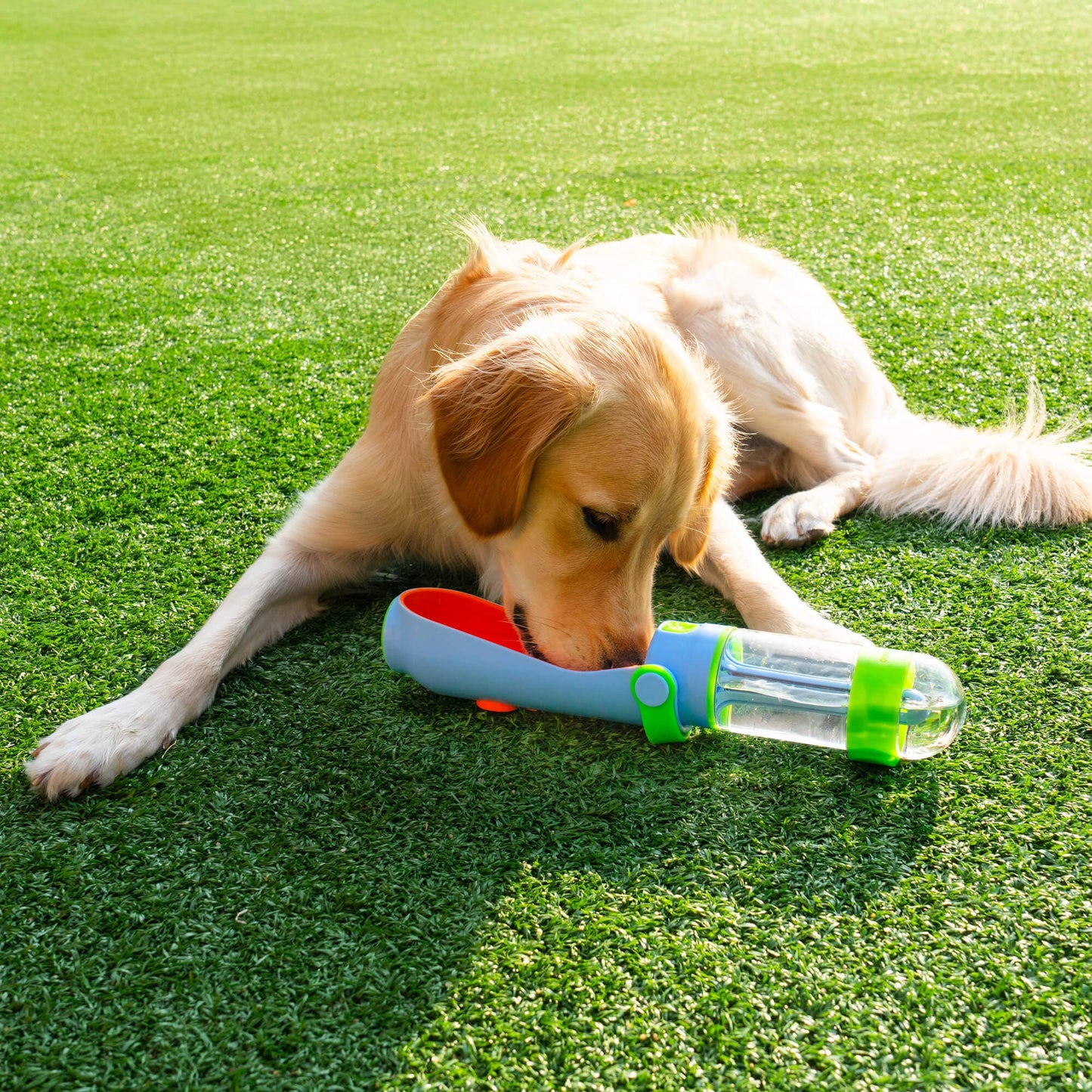 Lil Gulp Dog Water Bottle