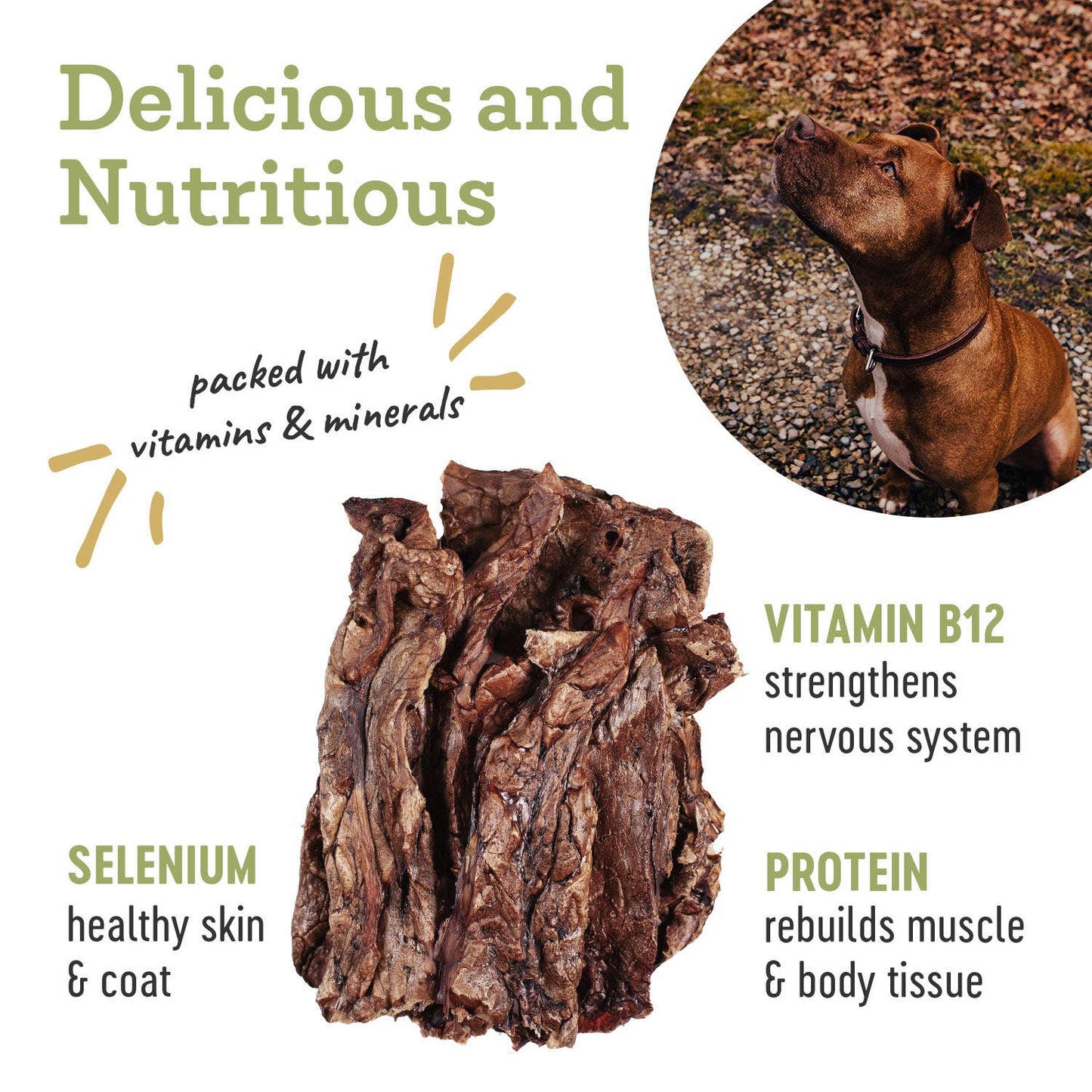 Beef Lung - All-Natural Dog Treats - 2oz