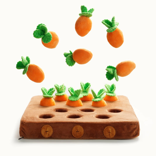 Nocciola Multi Piece "Stuffed" Enrichment Toys