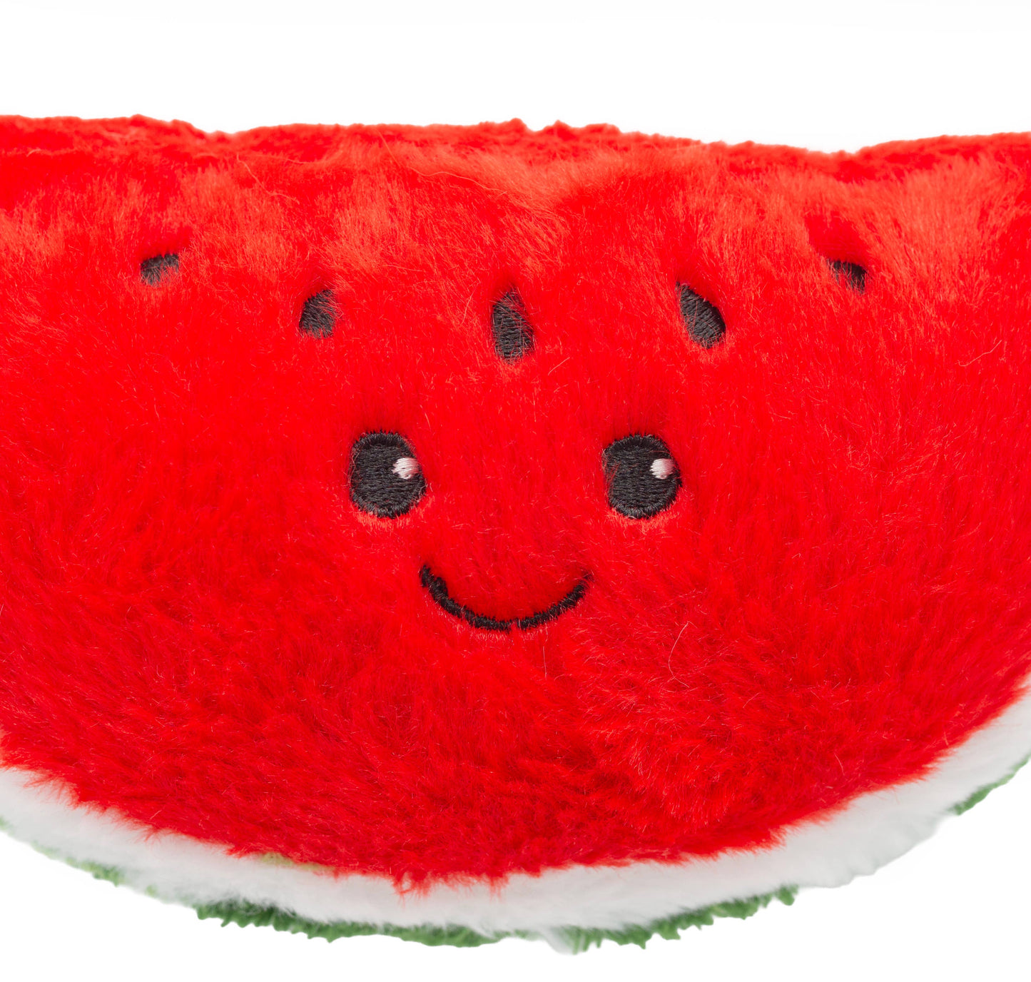 8" Watermelon Dog Toy