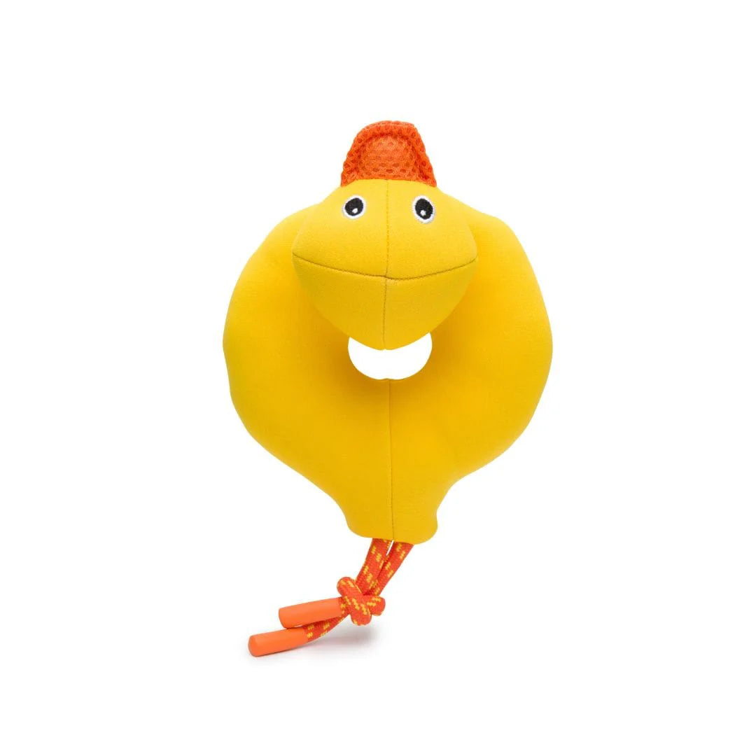 Duck Floating Toy