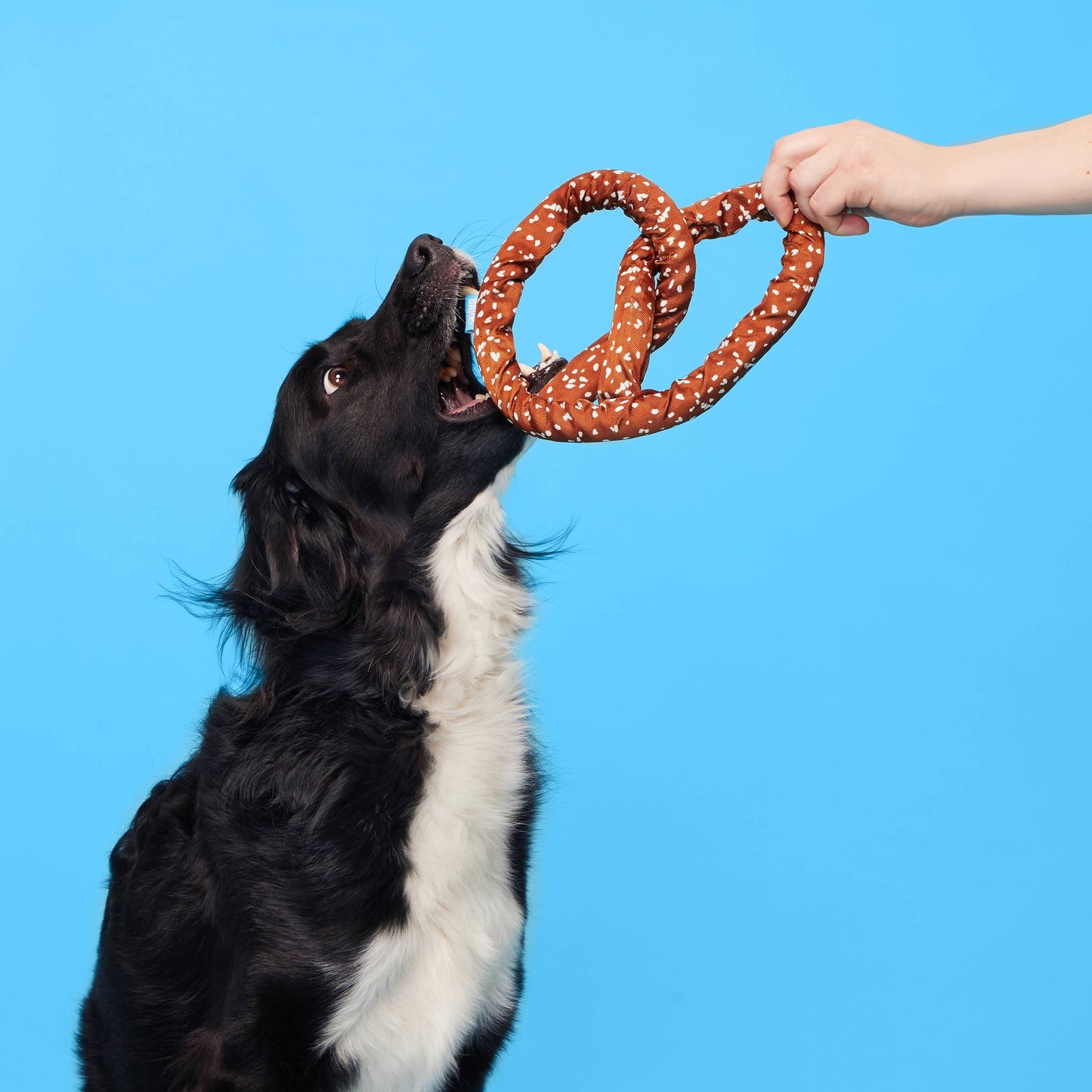 Paula's Park Slope Pretzel