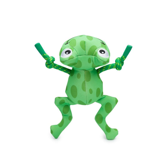 Frog Floating Toy