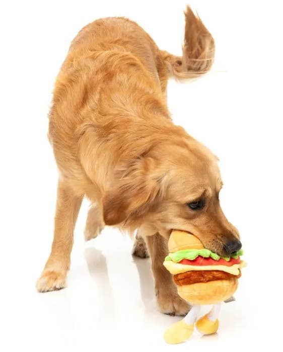 Patty Plush Dog Toy