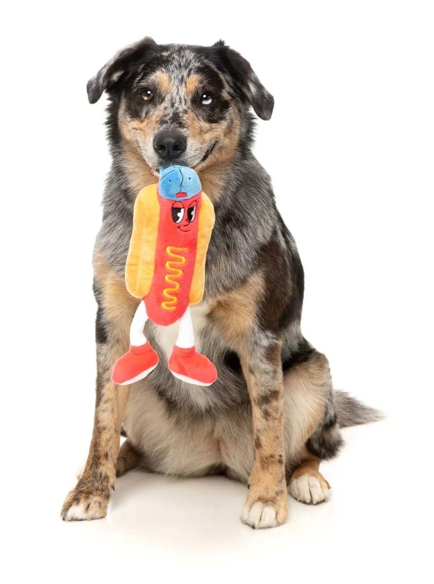 FuzzYard Franky Plush Dog Toy