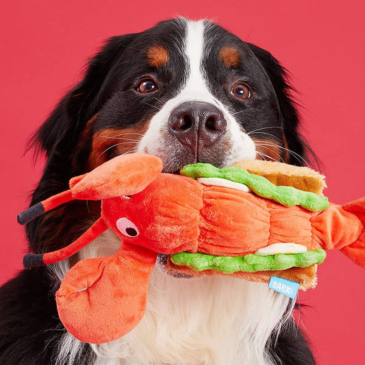 Max's Maine Lobster Roll