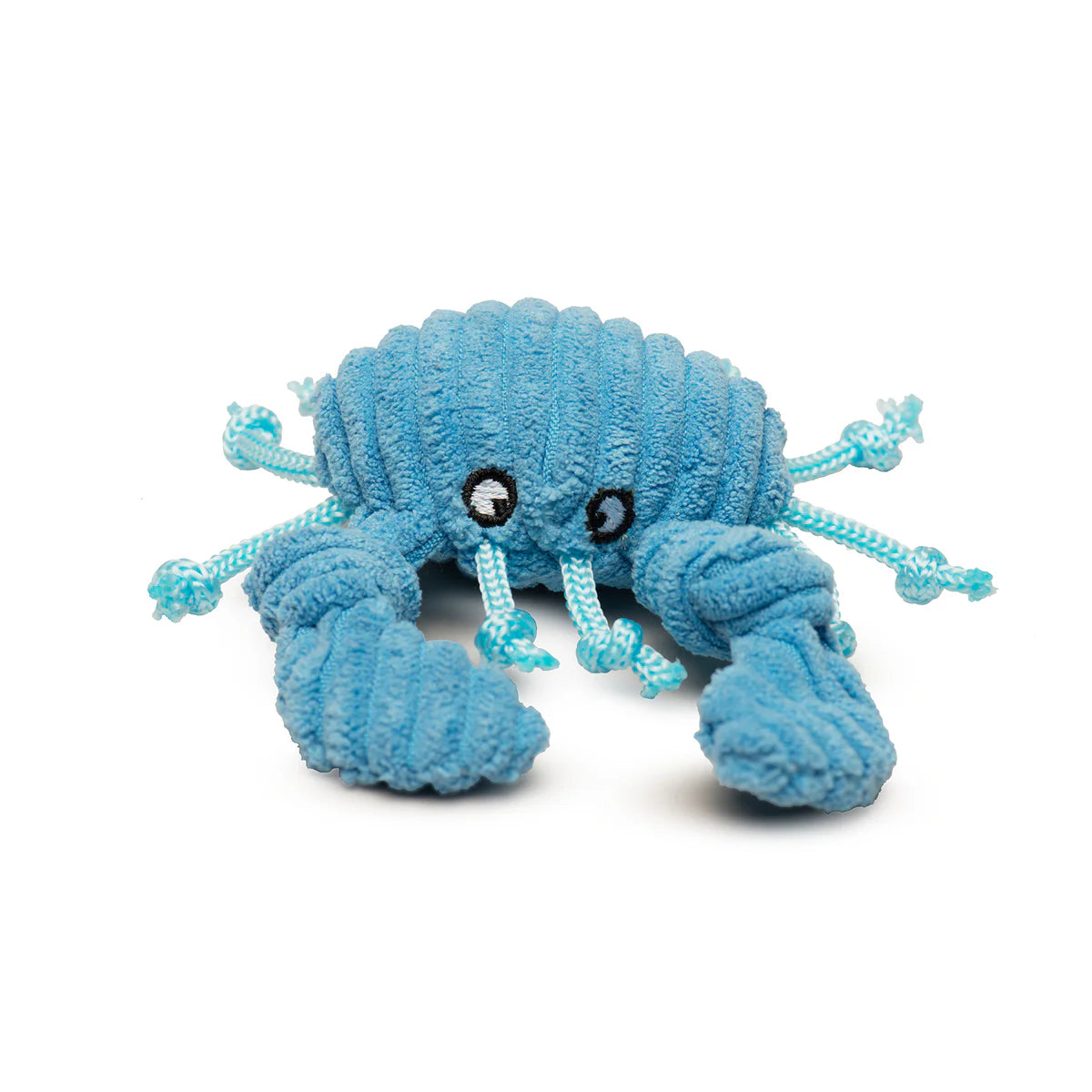 Assorted Wee Sea Creatures