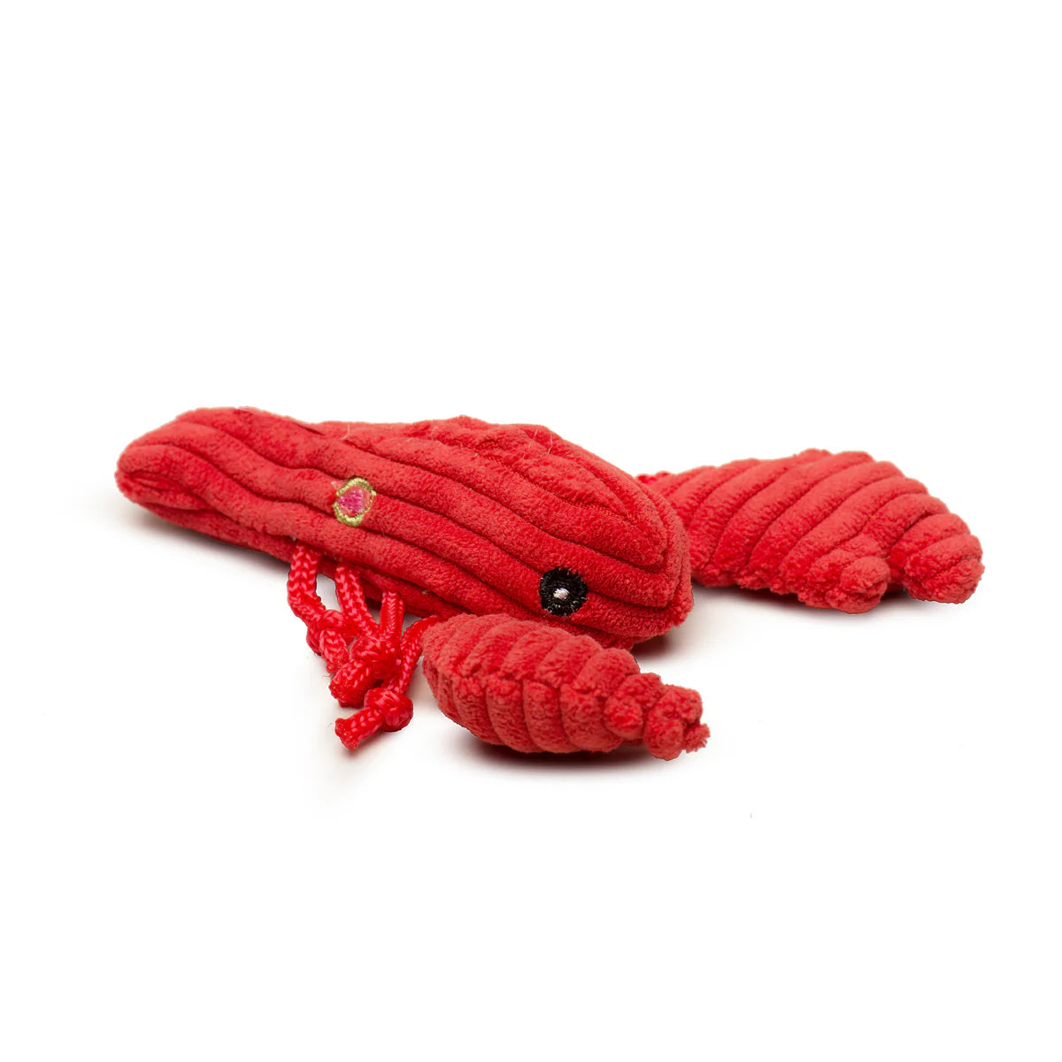 Assorted Wee Sea Creatures