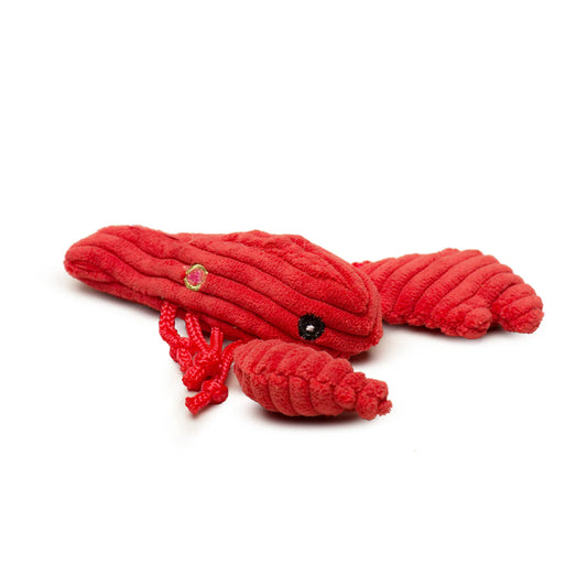 Assorted Wee Sea Creatures