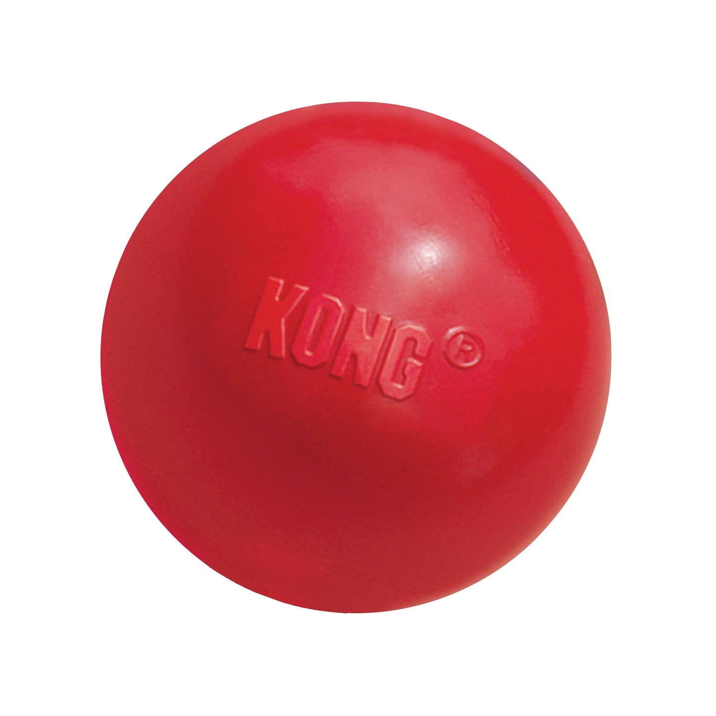 Medium/Large Ball w/Hole Dog Fetch