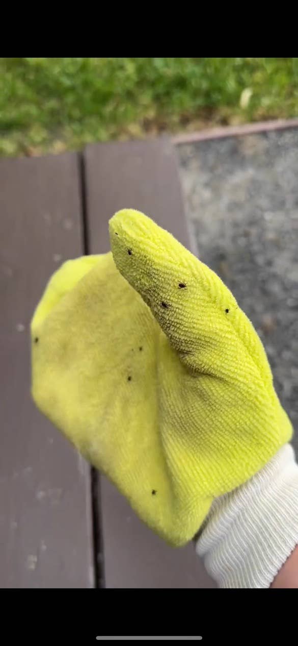 TiCK MiTT