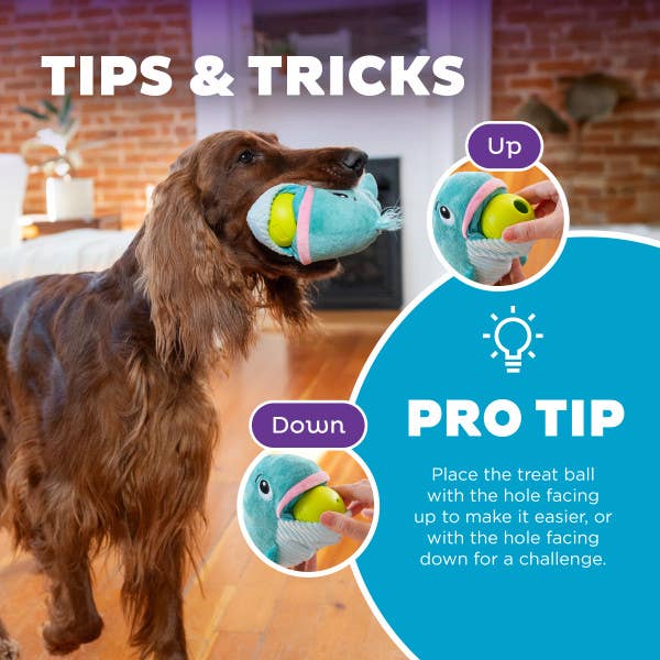 Big Mouthz Whale Interactive Dog Puzzle Toy