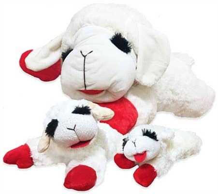 10" Lamb Chop
