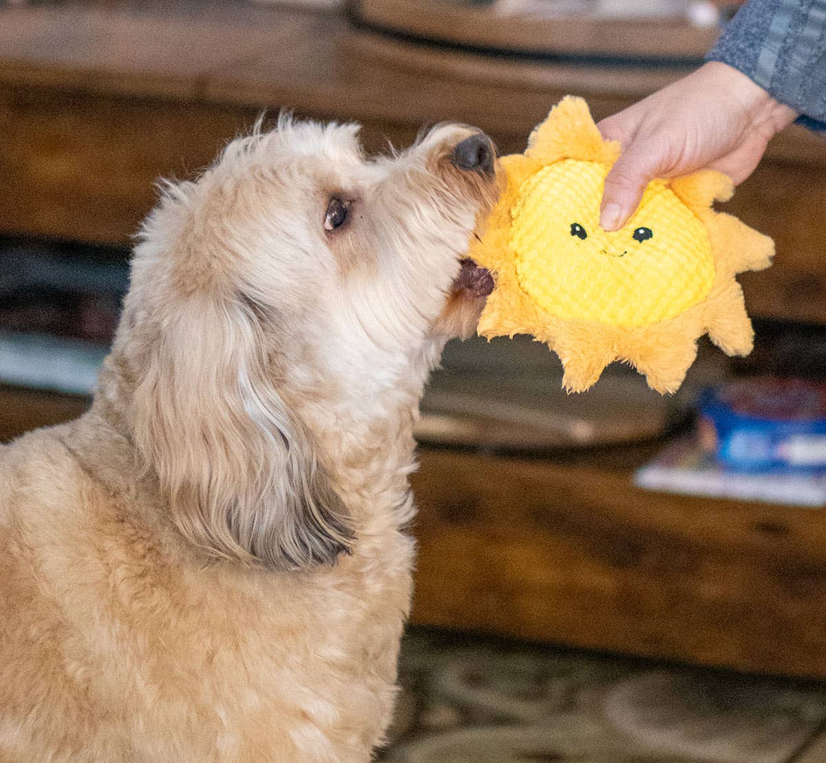 8" Sun Plush Dog Toy