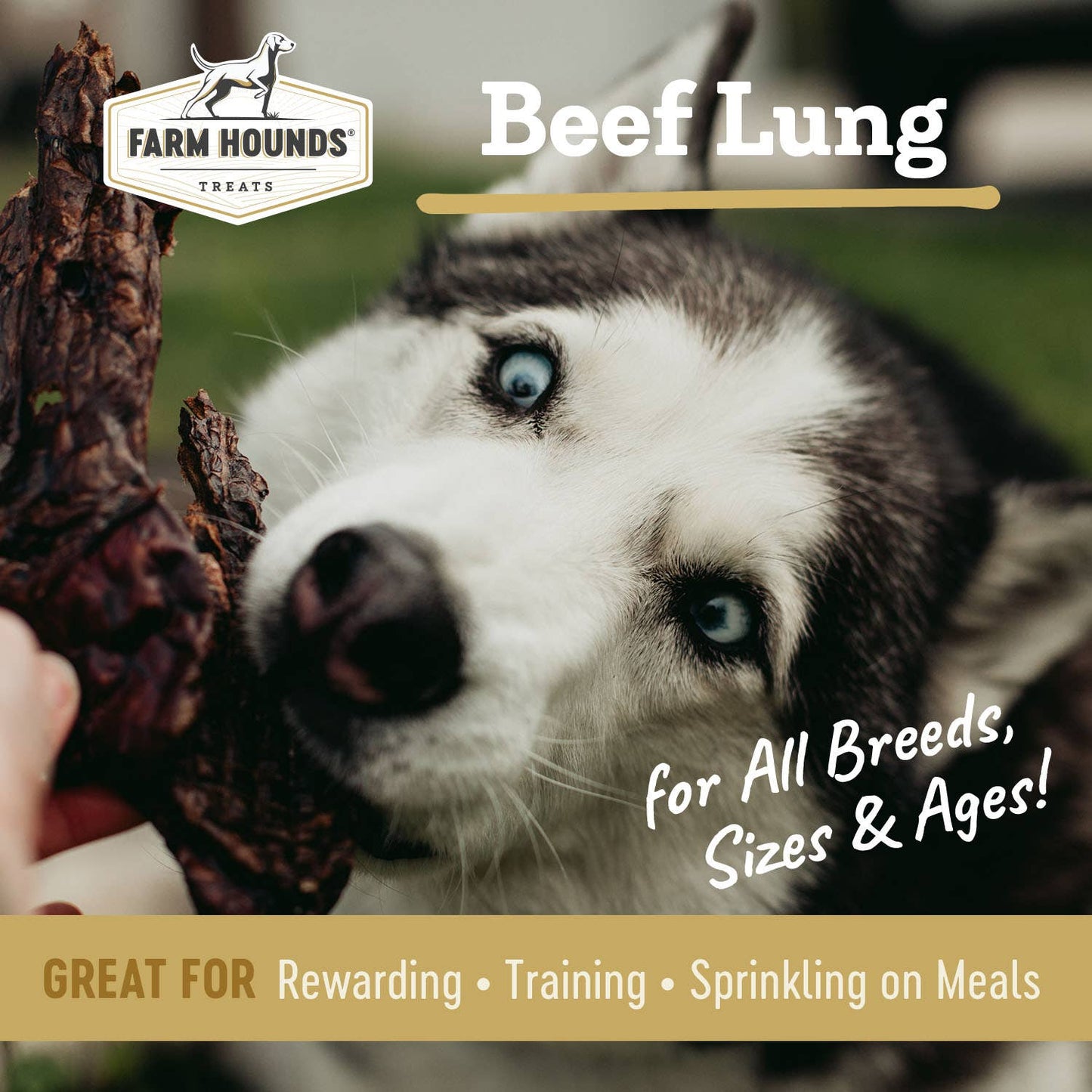 Beef Lung - All-Natural Dog Treats - 2oz