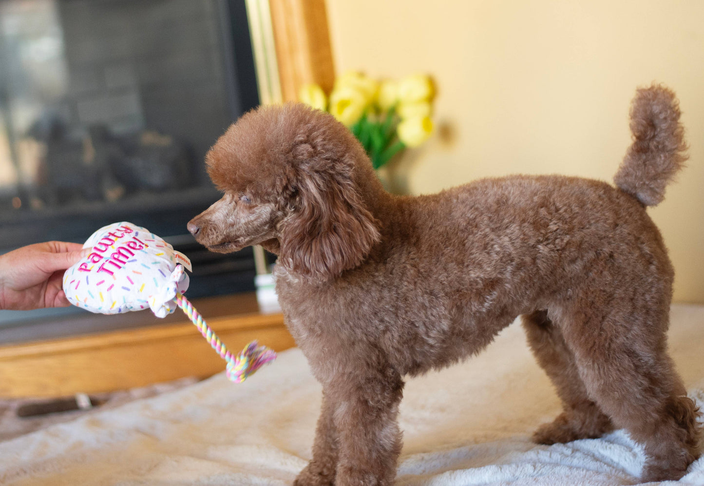 Birthday Balloon Plush with Rope 7"