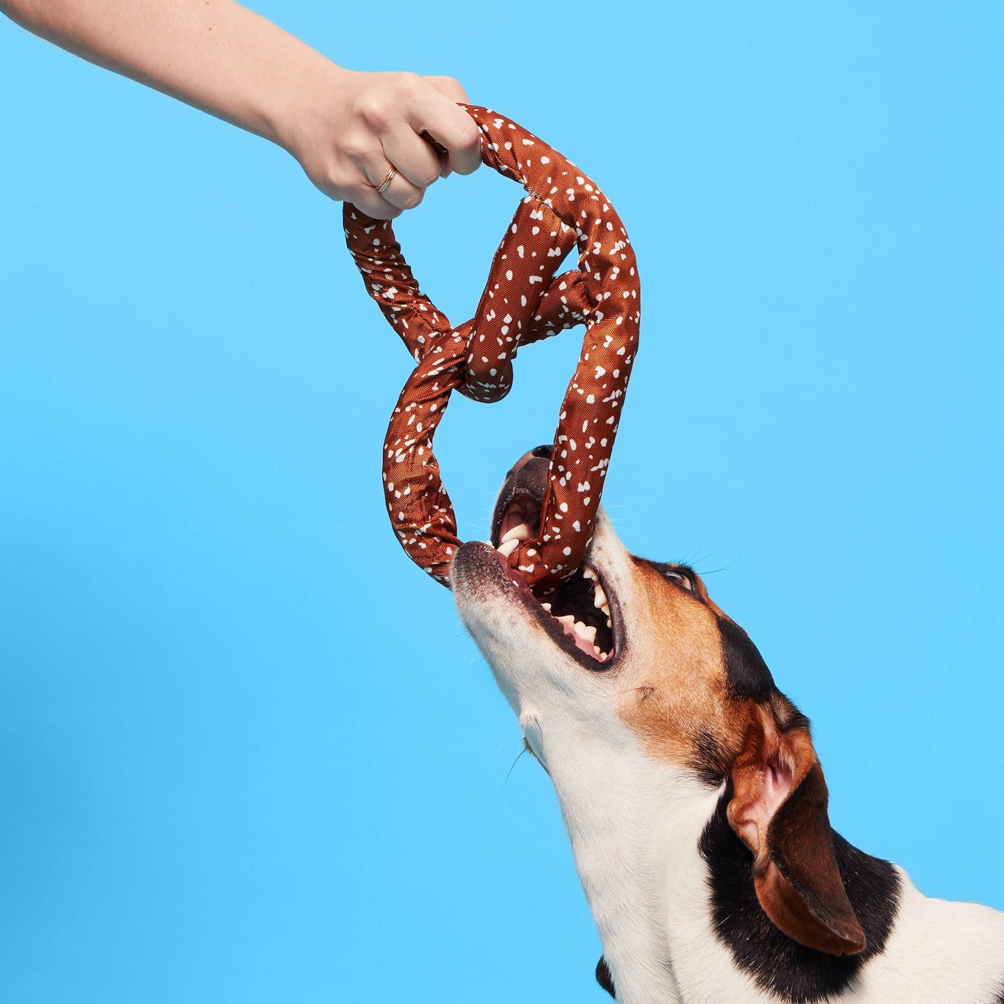 Paula's Park Slope Pretzel