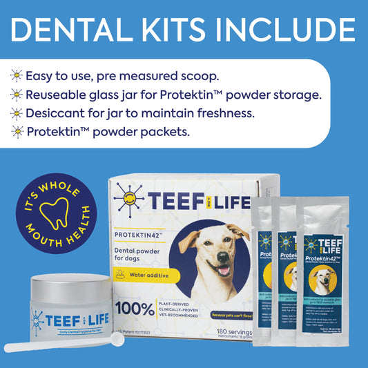 Teef for Life