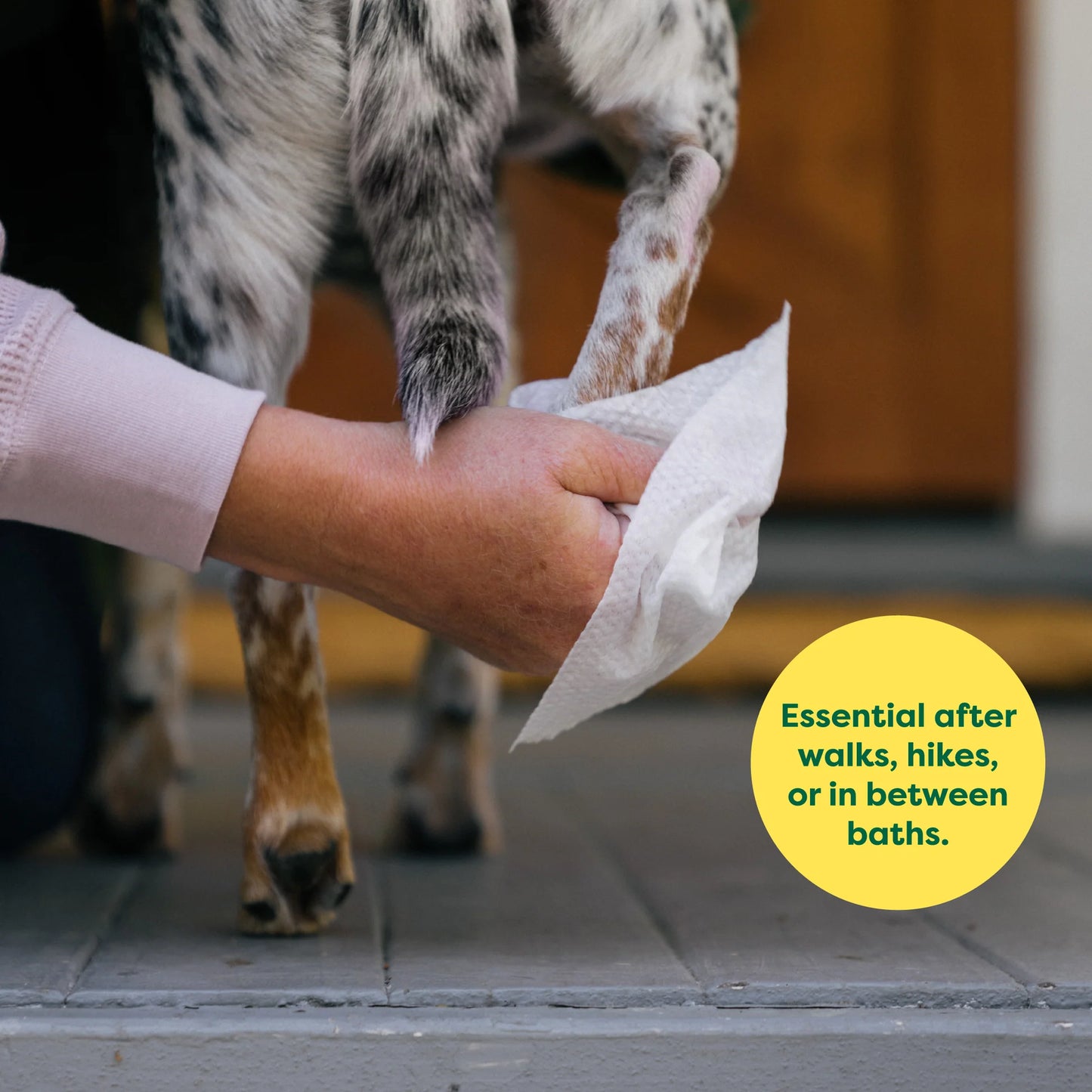 All-Over Dog Wipes