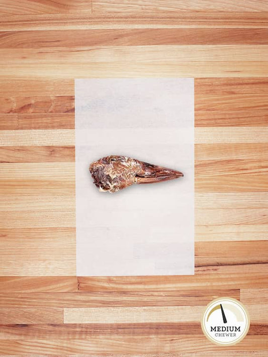 Duck Head
