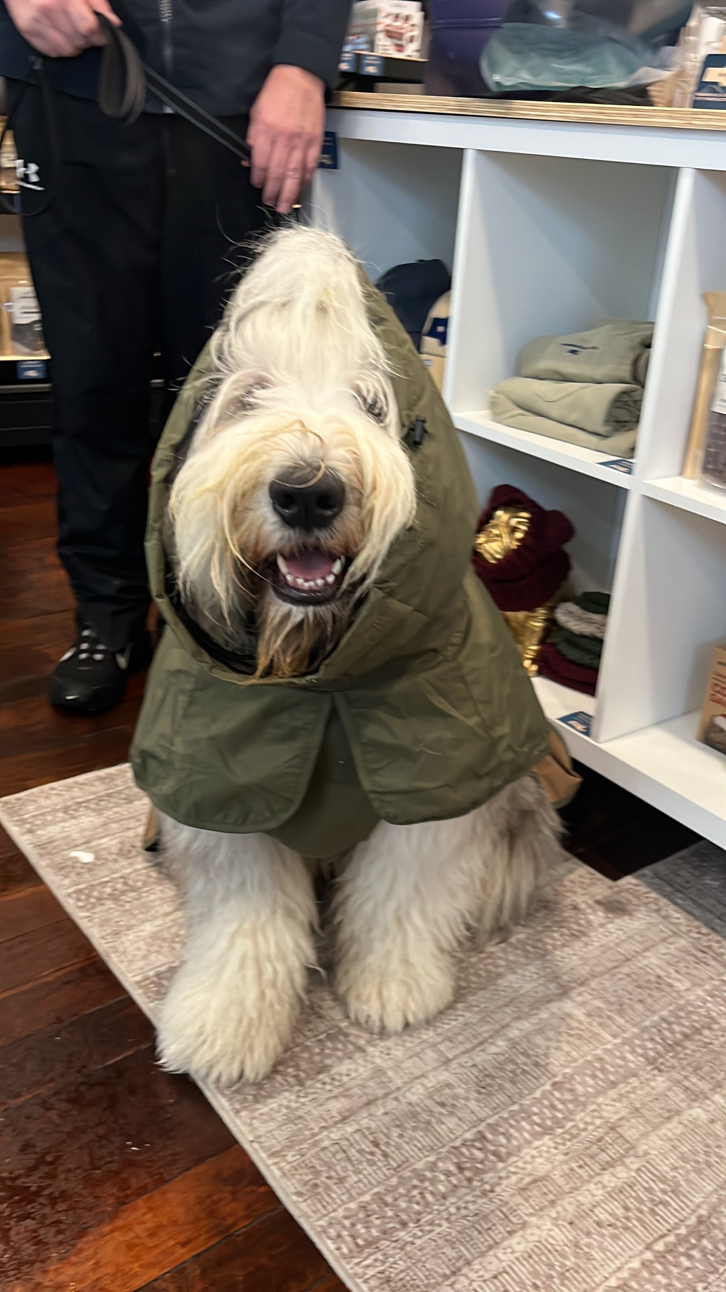 Sparkpaws Raincoat