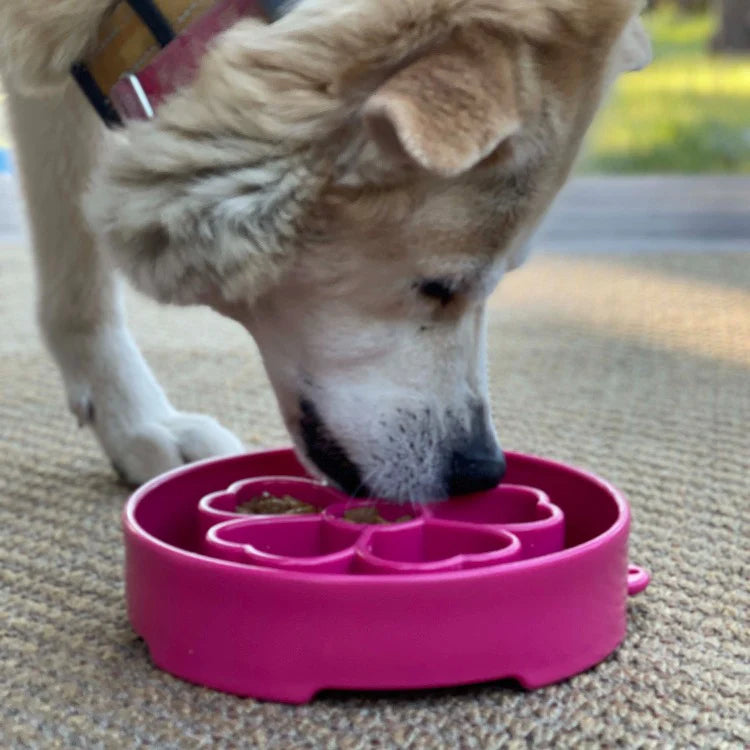 Purple Flower Slow Feeder Dog Bowl