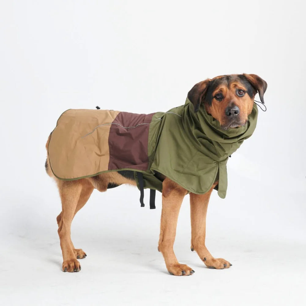 Sparkpaws Raincoat