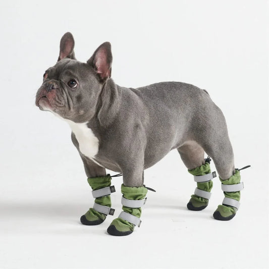 Sparkpaws Boots