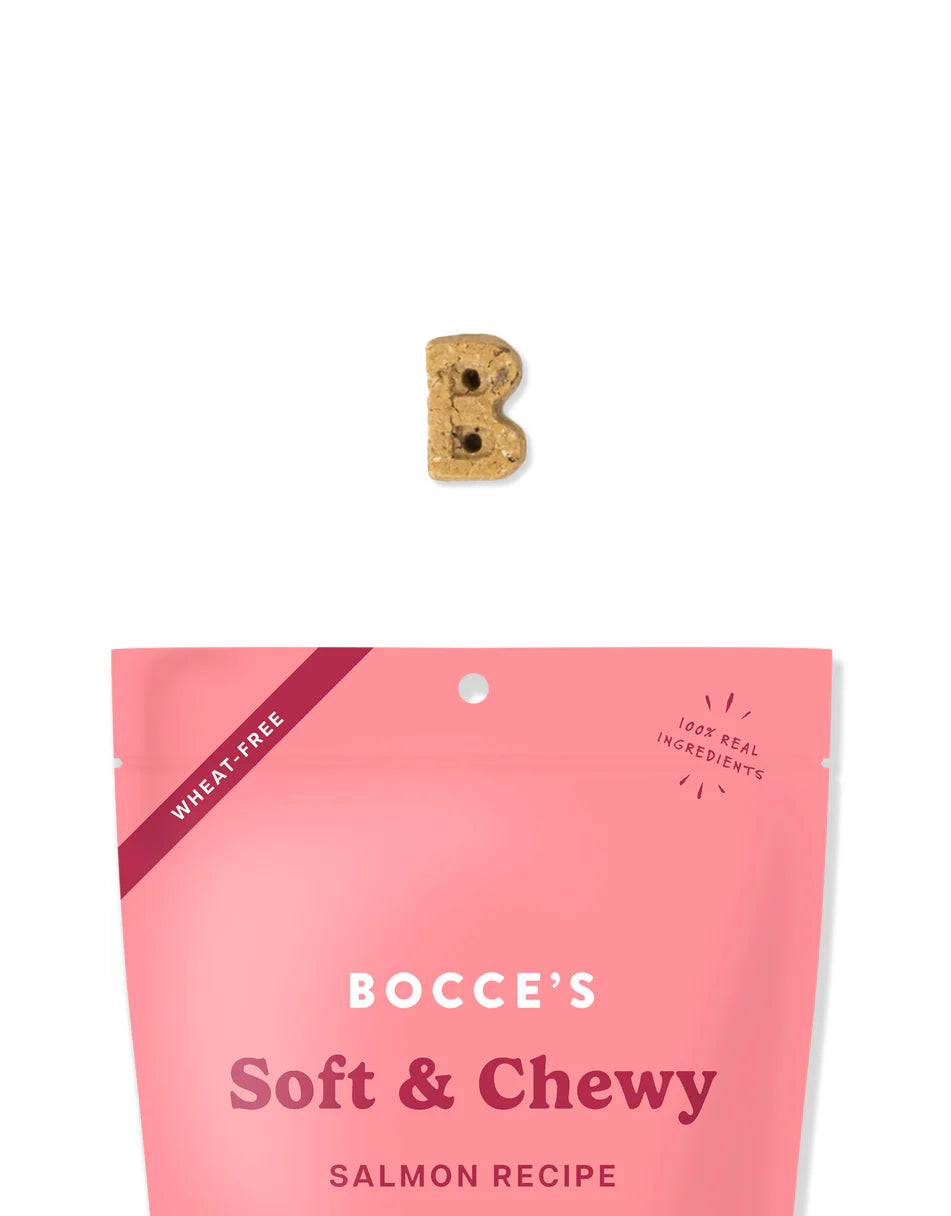 Salmon Recipe Soft & Chewy Dog Treats