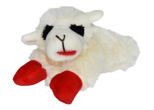 6" Lamb Chop