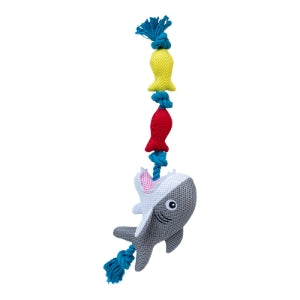 20" Buoy and Shark Floating Toy