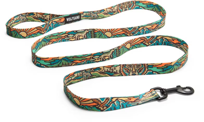 Venture Dog Leash (Single Handle)