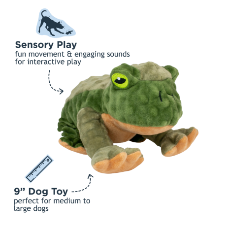 Animated Frog Plush Toy