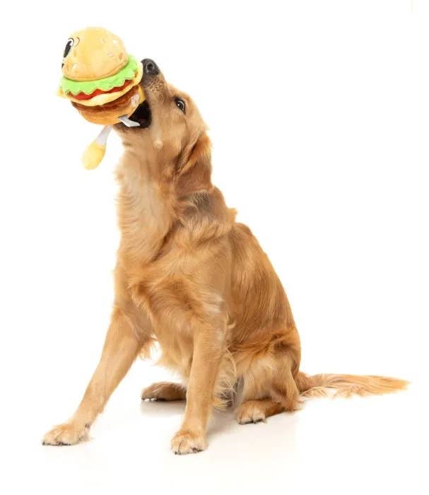 Patty Plush Dog Toy