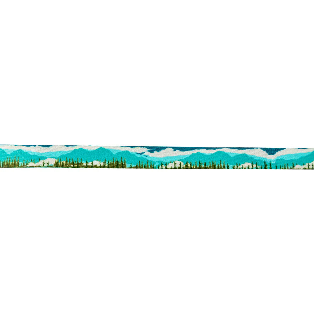 Wolfgang Collar + Leash Combo